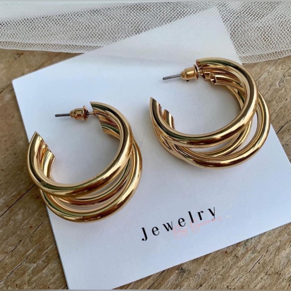 NWT  Fashion earrings